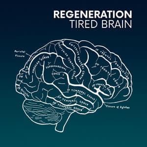 Regeneration of a Tired Brain - Harmonic Healing RW