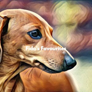 Fido's Favourites - Music for Work Playlist