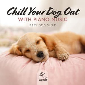 Chill Your Dog Out with Piano Music, Baby Dog Sleep - Relaxing Dog Music