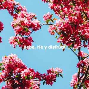 Bebe, ríe y disfruta - Jazz Cafe Autumn