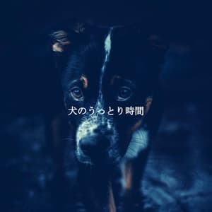 犬のうっとり時間 - Work from Home Groove