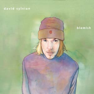 Blemish - David Sylvian