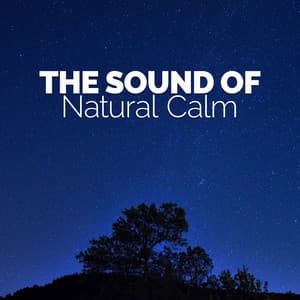 The Sound of Natural Calm - Bruits naturels