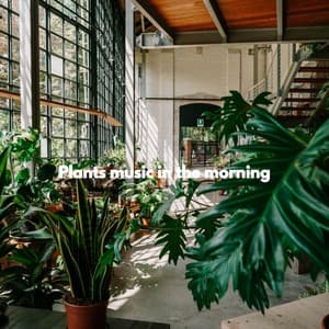 Plants music in the morning - Soft Jazz Cafe