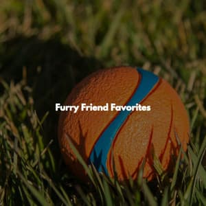 Furry Friend Favorites - Música de Trabajo