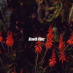 Growth Vibes - Relax Chillout Lounge