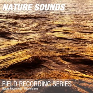Nature Recordings - Peaceful sea - Nature Sounds