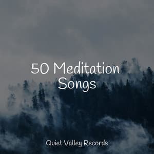 50 Meditation Songs - Lush Rain Creators