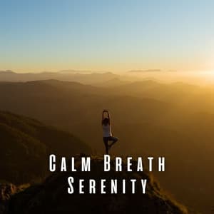 Calm Breath Serenity: Lofi Ambience for Yoga - ChillHop Cafe