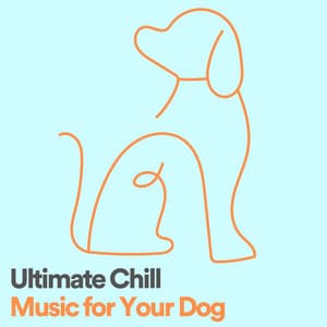 Ultimate Chill Music for Your Dog - Dog Sleep Academy