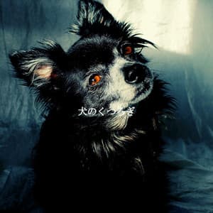 犬のくつろぎ - Cocktail Lounge Music