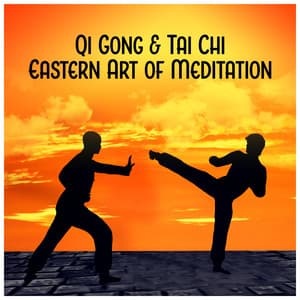Qi Gong & Tai Chi - Great Meditation Guru