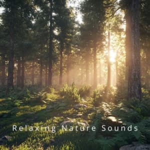 Essential Ocean Waves Relaxing Nature Sleep Sounds - Relaxing Nature Sounds