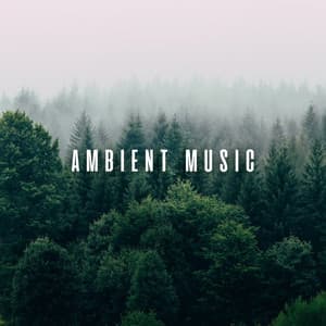 Ambient Music: Chill Bird Serenade for Therapeutic Massage - Lights From A Distance