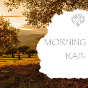 Morning Rain - Natural Spirit