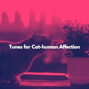 Tunes for Cat-human Affection - Jazz Afternoons