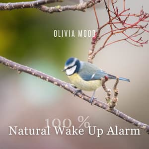 100 % Natural Wake Up Alarm - Olivia Mood