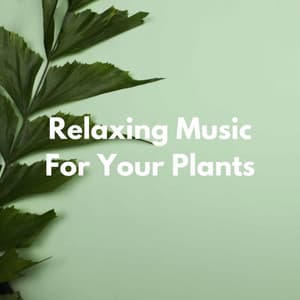 Relaxing Music For Your Plants - French Jazz Lounge
