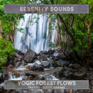 Yogic Forest Flows - Serenity Sounds