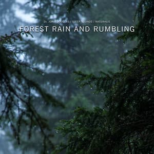 Forest Rain and Rumbling - Dr. John Douglas