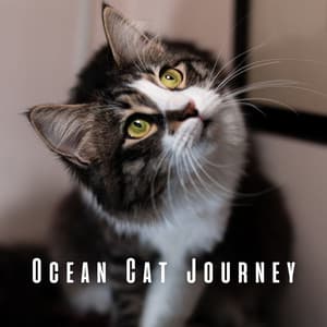 Ocean Cat Journey: Serene Binaural Beats and Theta Waves - Ocean Mysteries