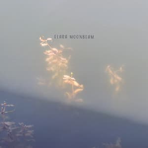 Submerged in Soft Knowing - Elara Moonbeam
