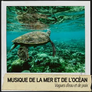 Musique de la Mer et de l'Océan : Vagues d'eau et de paix - Musique pour Dormir