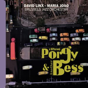 A Different Porgy & Another Bess - David Linx