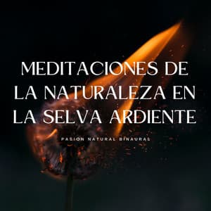 Meditaciones De La Naturaleza En La Selva Ardiente: Pasión Natural Binaural - Chakra de corazón abierto de 528 Hz