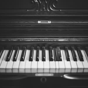 Gala De Música De Piano: Celebraciones Rítmicas - Relajación Piano