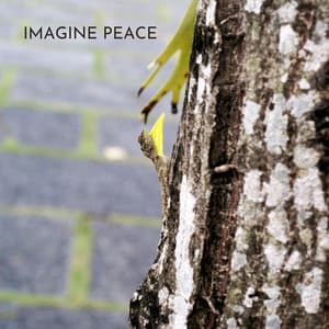 Imagine Peace - Bali Vibes