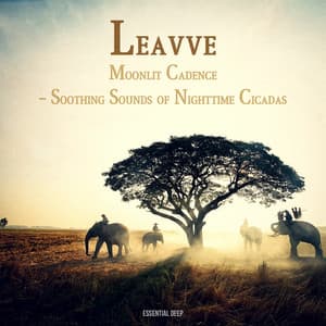 Moonlit Cadence - Soothing Sounds of Nighttime Cicadas - Leavve