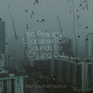 50 Peaceful Loopable Rain Sounds for Chilling Out - Relaxing Rain Sounds