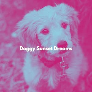 Doggy Sunset Dreams - Música para Oficinas De Lujo