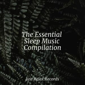 The Essential Sleep Music Compilation - Relaxamento