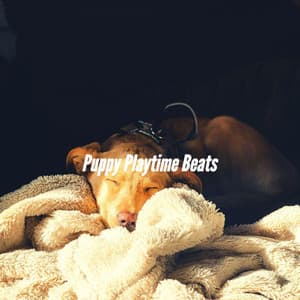 Puppy Playtime Beats - Calm Dog Music