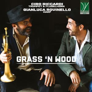 Grass 'n wood - Ciro Riccardi