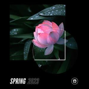 Spring 2023 - UK House Music