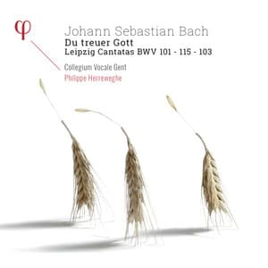 Bach: Du Treuer Gott. Leipzig Cantatas BWV 101, BWV 103 & BWV 115 - Johann Sebastian Bach