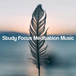 Study Focus Meditation Music - Zen Meditation Music Academy