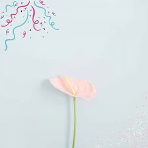 Relaxing Background Music for Stress Free Nights - Happy Afternoon Music