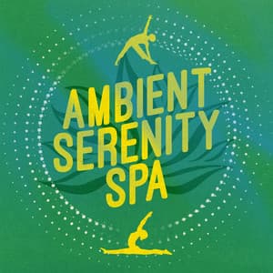 Ambient Serenity Spa - Zen Spa