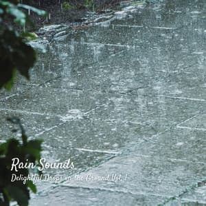 Rain Sounds: Delightful Drops on the Ground Vol. 1 - Recorder Rain