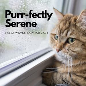 Purr-fectly Serene: Theta Waves, Rain for Cats - Calming Cat Music