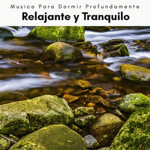 2 0 2 2 Relajante y Tranquilo - Musica Para Dormir Profundamente