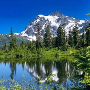 4 Seasons: Pathway To Inner Peace - Baltic Nature Sounds