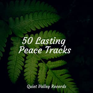 50 Lasting Peace Tracks - Massage Therapy Music