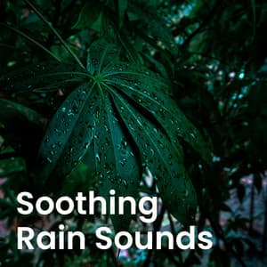 Soothing Rain Sounds - Wind and Rain Sounds