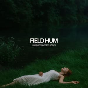 Field Hum for Disconnected Bodies - softly i return