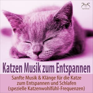 Katzen Musik zum Entspannen - Sanfte Musik & Klänge für die Katze zum Entspannen und Schlafen - Musik für Katzen TA